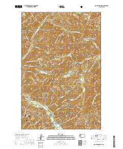 Mount Skokomish 2020 topographic map thumbnail