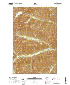 Mount Spickard 2020 topographic map preview