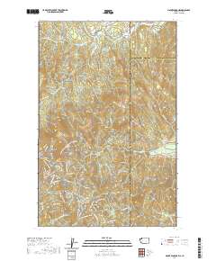 Mount Spokane 2020 topographic map thumbnail