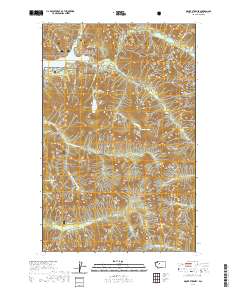 Mount Stickney 2020 topographic map thumbnail