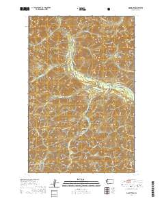 Mount Tebo 2020 topographic map thumbnail