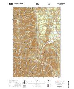 Mount Walker 2020 topographic map thumbnail