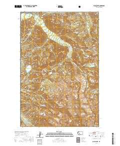 Mowich Lake 2020 topographic map thumbnail