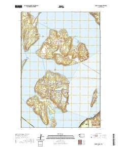 McNeil Island 2020 topographic map thumbnail