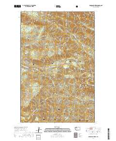 Meadow Mountain 2020 topographic map thumbnail
