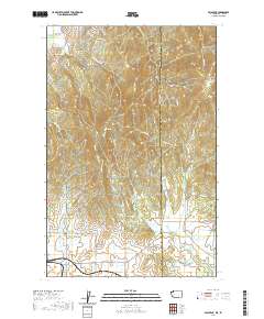 Mica Peak 2020 topographic map thumbnail