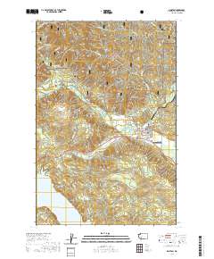 Morton 2020 topographic map thumbnail