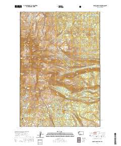 Mount Adams East 2020 topographic map thumbnail