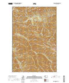 Mount Angeles 2020 topographic map thumbnail