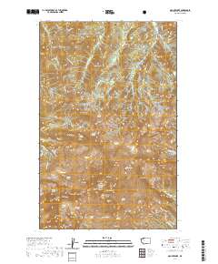 Mount Baker 2020 topographic map thumbnail