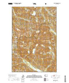 Mount Daniel 2020 topographic map thumbnail