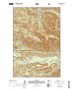 Mount Higgins 2020 topographic map thumbnail