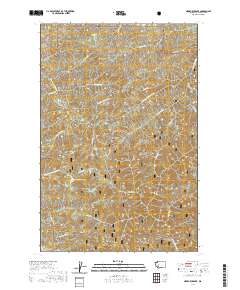 Newaukum Lake 2020 topographic map thumbnail