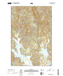 Newman Lake 2020 topographic map thumbnail