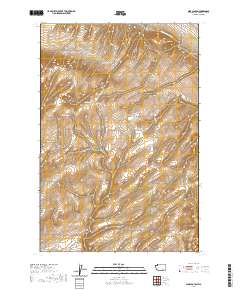 Nine Canyon 2020 topographic map thumbnail