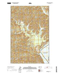 Ninemile Flat 2020 topographic map thumbnail