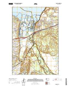 Nisqually 2020 topographic map thumbnail