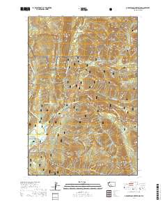 Ohanapecosh Hot Springs 2020 topographic map thumbnail