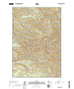 Onalaska NW 2020 topographic map thumbnail