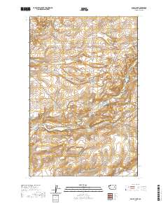 Pacific Lake 2020 topographic map thumbnail