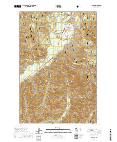 Packwood 2020 topographic map thumbnail