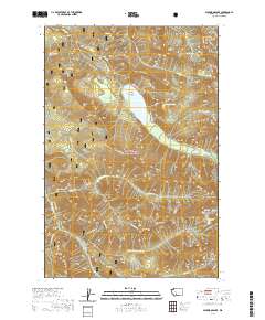 Packwood Lake 2020 topographic map thumbnail