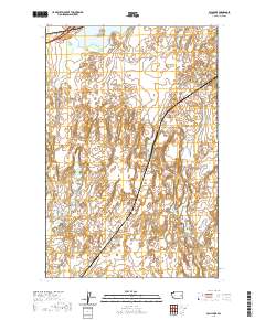 Palm Lake 2020 topographic map thumbnail