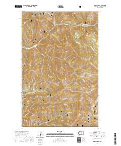 Pearrygin Peak 2020 topographic map thumbnail