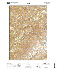Pine Mountain 2020 topographic map thumbnail