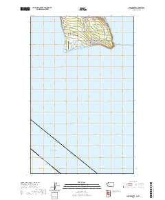 Point Roberts 2020 topographic map thumbnail