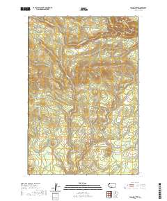 Poland Butte 2020 topographic map thumbnail