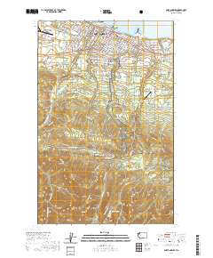 Port Angeles 2020 topographic map thumbnail