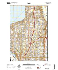 Poverty Bay 2020 topographic map thumbnail