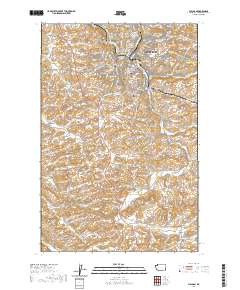 Pullman 2020 topographic map thumbnail