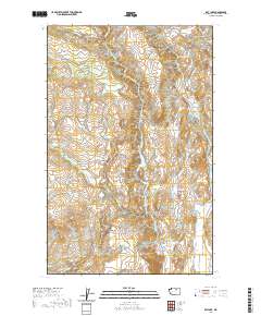 Rat Lake 2020 topographic map thumbnail