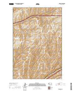Reiman SE 2020 topographic map thumbnail