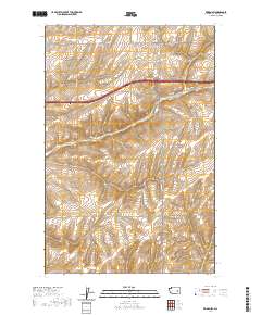 Reiman SW 2020 topographic map thumbnail