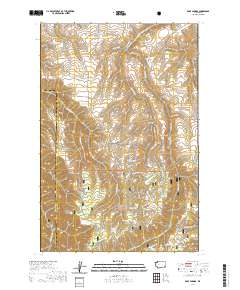 Rose Springs 2020 topographic map thumbnail