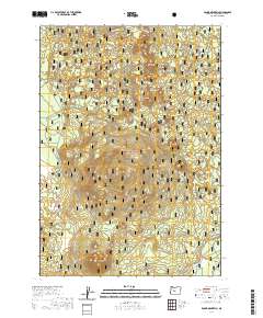 Round Mountain 2020 topographic map thumbnail
