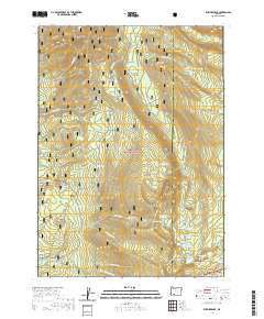 Rustler Peak 2020 topographic map thumbnail