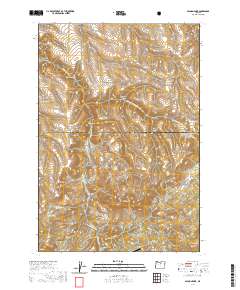 Salmon Fork 2020 topographic map thumbnail