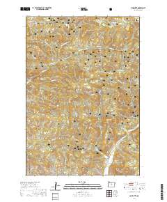 Salt Butte 2020 topographic map thumbnail