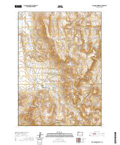 Star Creek Reservoir 2020 topographic map thumbnail