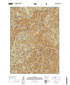 Steamboat 2020 topographic map thumbnail