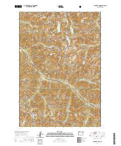 Steamboat Lake 2020 topographic map thumbnail