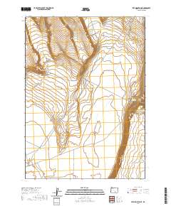 Steamboat Point 2020 topographic map thumbnail