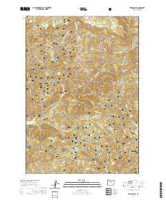 Steins Pillar 2020 topographic map thumbnail