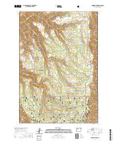 Shamrock Creek 2020 topographic map thumbnail