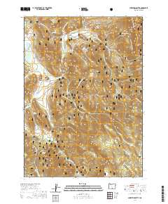 Shoestring Butte 2020 topographic map thumbnail