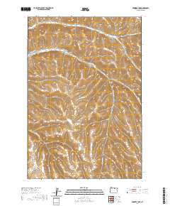 Skinners Fork 2020 topographic map thumbnail